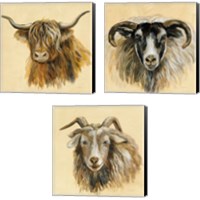 Framed 'Highland Animal 3 Piece Canvas Print Set' border=