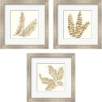 Framed 'Gilded Fern 3 Piece Framed Art Print Set' border=