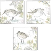 Framed 'Seaside Sandpipers 3 Piece Canvas Print Set' border=