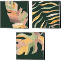 Framed 'Palm Grove 3 Piece Canvas Print Set' border=