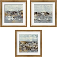 Framed 'Discovery 3 Piece Framed Art Print Set' border=