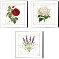 Framed 'Floral 3 Piece Canvas Print Set' border=