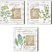 Framed 'Herb Guide 3 Piece Canvas Print Set' border=