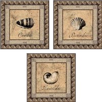 Framed 'Shell Works 3 Piece Art Print Set' border=