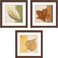 Framed 'Leaf Impression 3 Piece Framed Art Print Set' border=