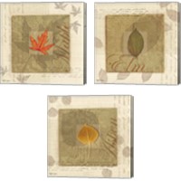 Framed 'Leaf 3 Piece Canvas Print Set' border=