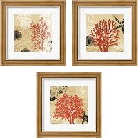 Framed 'Coral Impressions 3 Piece Framed Art Print Set' border=