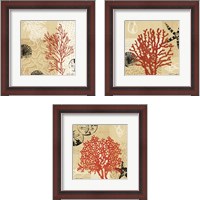 Framed 'Coral Impressions 3 Piece Framed Art Print Set' border=