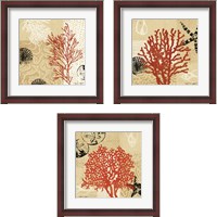 Framed 'Coral Impressions 3 Piece Framed Art Print Set' border=