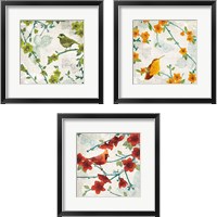 Framed 'Birds and Butterflies 3 Piece Framed Art Print Set' border=