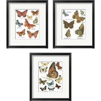 Framed 'Botanical Butterflies Postcard White 3 Piece Framed Art Print Set' border=