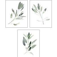 Framed 'Simple Sage 3 Piece Art Print Set' border=