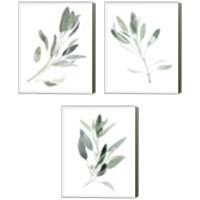 Framed 'Simple Sage 3 Piece Canvas Print Set' border=