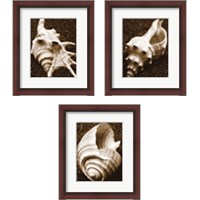 Framed 'Sea Gallery 3 Piece Framed Art Print Set' border=