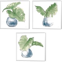 Framed 'Plant Big Leaf 3 Piece Canvas Print Set' border=