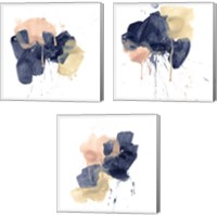 Framed 'Earthtone Gesture 3 Piece Canvas Print Set' border=