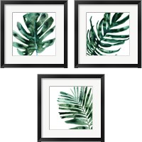 Framed 'Tropical Jewel 3 Piece Framed Art Print Set' border=