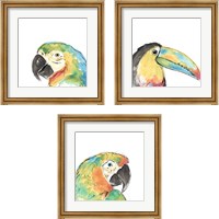 Framed 'Tropical Bird Portrait 3 Piece Framed Art Print Set' border=