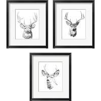 Framed 'Young Buck Sketch 3 Piece Framed Art Print Set' border=