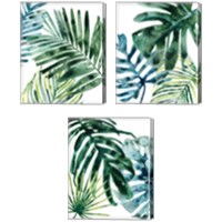 Framed 'Tropical Leaf Medley 3 Piece Canvas Print Set' border=