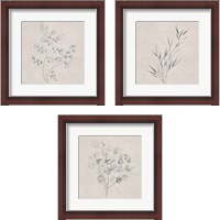 Framed 'Soft Summer Sketches 3 Piece Framed Art Print Set' border=