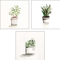 Framed 'Potted Botanicals 3 Piece Art Print Set' border=