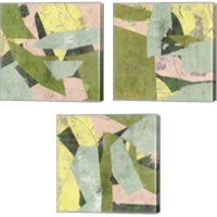 Framed 'Forest of Memory 3 Piece Canvas Print Set' border=