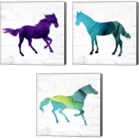 Framed 'Horse 3 Piece Canvas Print Set' border=