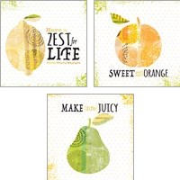 Framed 'Inspirational Fruit 3 Piece Art Print Set' border=