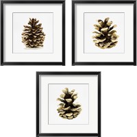 Framed 'Conifer Cone 3 Piece Framed Art Print Set' border=