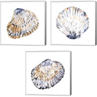 Framed 'Simple Shells 3 Piece Canvas Print Set' border=