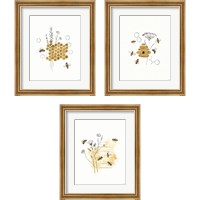 Framed 'Bees and Botanicals 3 Piece Framed Art Print Set' border=