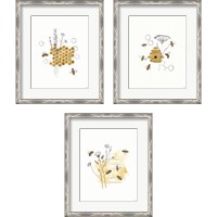 Framed 'Bees and Botanicals 3 Piece Framed Art Print Set' border=