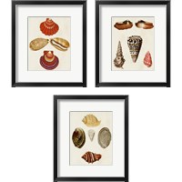 Framed 'Knorr Shells 3 Piece Framed Art Print Set' border=