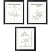 Framed 'Botanical Study in Sage 3 Piece Framed Art Print Set' border=