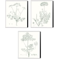 Framed 'Botanical Study in Sage 3 Piece Canvas Print Set' border=