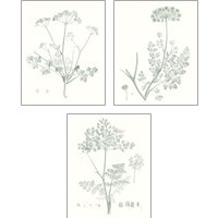 Framed 'Botanical Study in Sage 3 Piece Art Print Set' border=