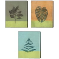 Framed 'Green Botanicals 3 Piece Canvas Print Set' border=