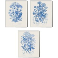 Framed 'Flowering Plants 3 Piece Canvas Print Set' border=