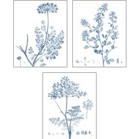 Framed 'Antique Botanical in Blue 3 Piece Art Print Set' border=