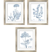 Framed 'Antique Botanical in Blue 3 Piece Framed Art Print Set' border=