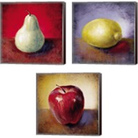 Framed 'Still Life Fruit 3 Piece Canvas Print Set' border=