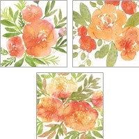 Framed 'Peachy Floral 3 Piece Art Print Set' border=