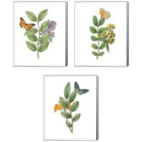 Framed 'Greenery Butterflies 3 Piece Canvas Print Set' border=