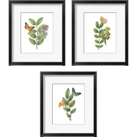 Framed 'Greenery Butterflies 3 Piece Framed Art Print Set' border=