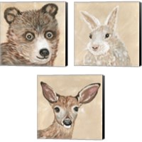 Framed 'Fuzzy Friends 3 Piece Canvas Print Set' border=