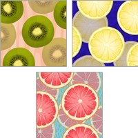 Framed Colorful Fruit 3 Piece Art Print Set