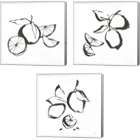 Framed 'Black & White Fruit 3 Piece Canvas Print Set' border=