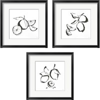 Framed 'Black & White Fruit 3 Piece Framed Art Print Set' border=