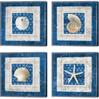 Framed 'Sea Shell on Blue 4 Piece Canvas Print Set' border=